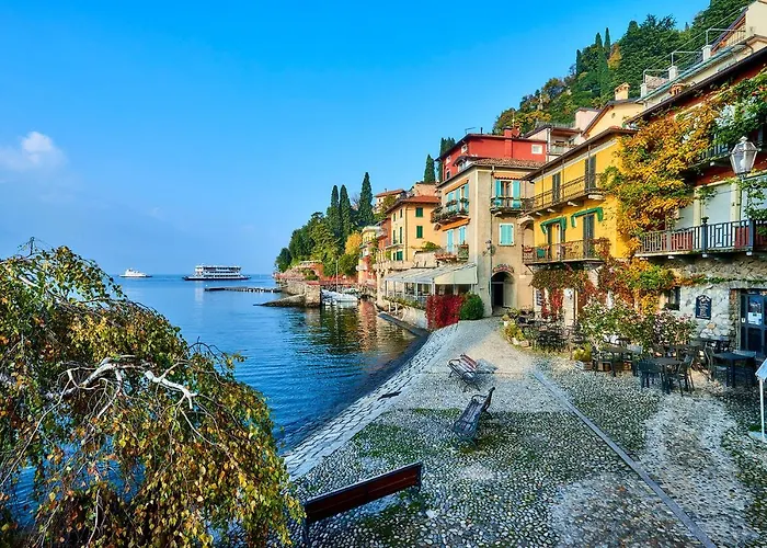 Pinus Varenna